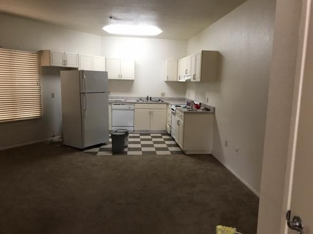 Kitchen / Living Room